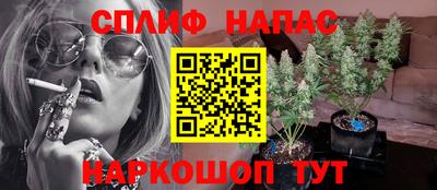 дурь Будённовск