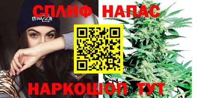 дурь Будённовск