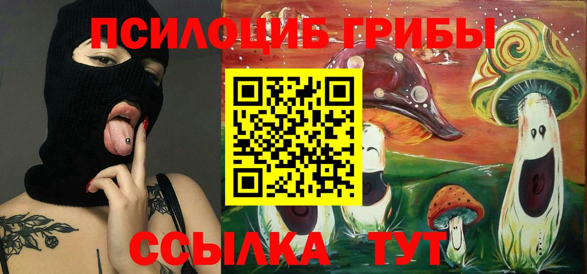 Галлюциногенные грибы прущие грибы  Псилоцибиновые грибы Magic Shrooms  Вход с VPN  Ржев 