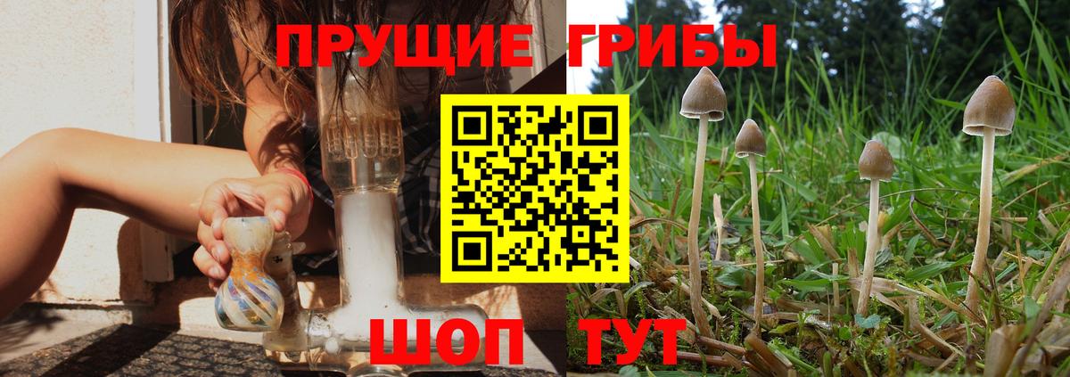 Псилоцибиновые грибы Magic Shrooms Ржев